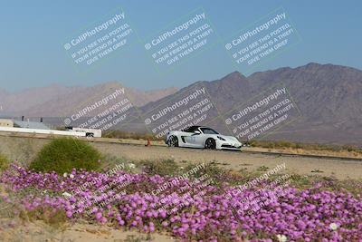 media/Jan-29-2023-PCA San Diego (Sun) [[aa0301ccc2]]/Yellow Group/Session 1 (Turn 15 Bloom)/